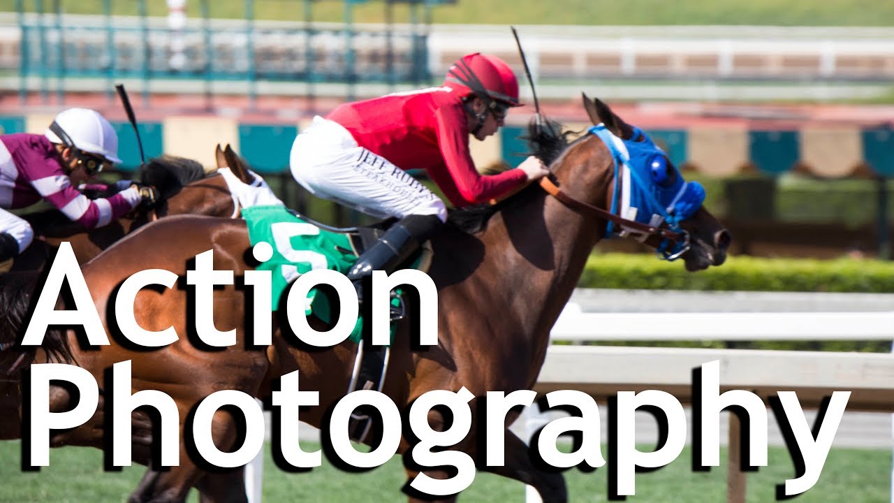 Camera Settings for Action Photography: What a Horse Racing Shoot Taught Me About Getting Sharp Shots