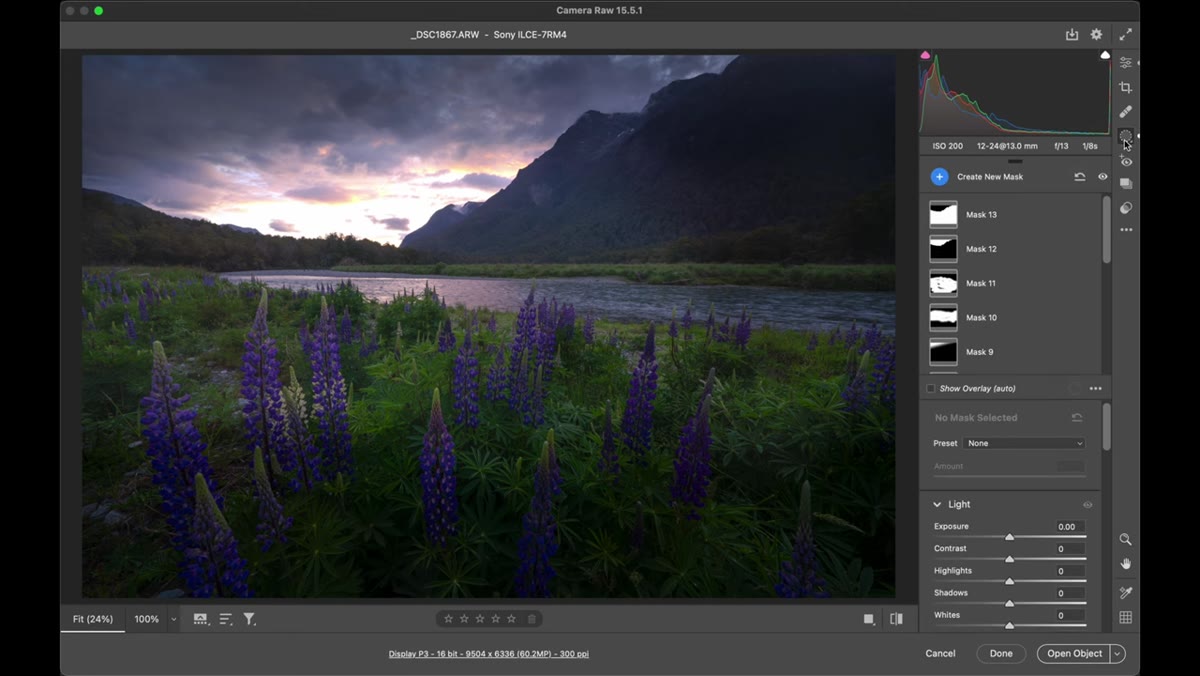 Split-screen showing global preset applied to full landscape image