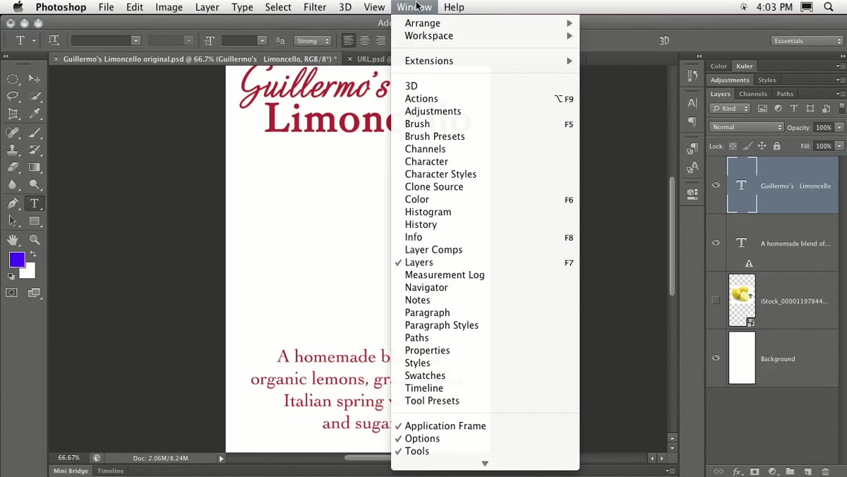 Window menu open with Extensions submenu showing iStock Photo