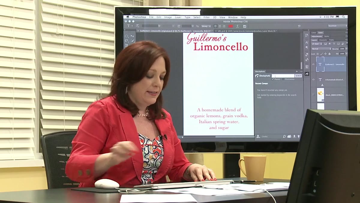 Search field showing &ldquo;lemons on white background&rdquo; typed in the plugin