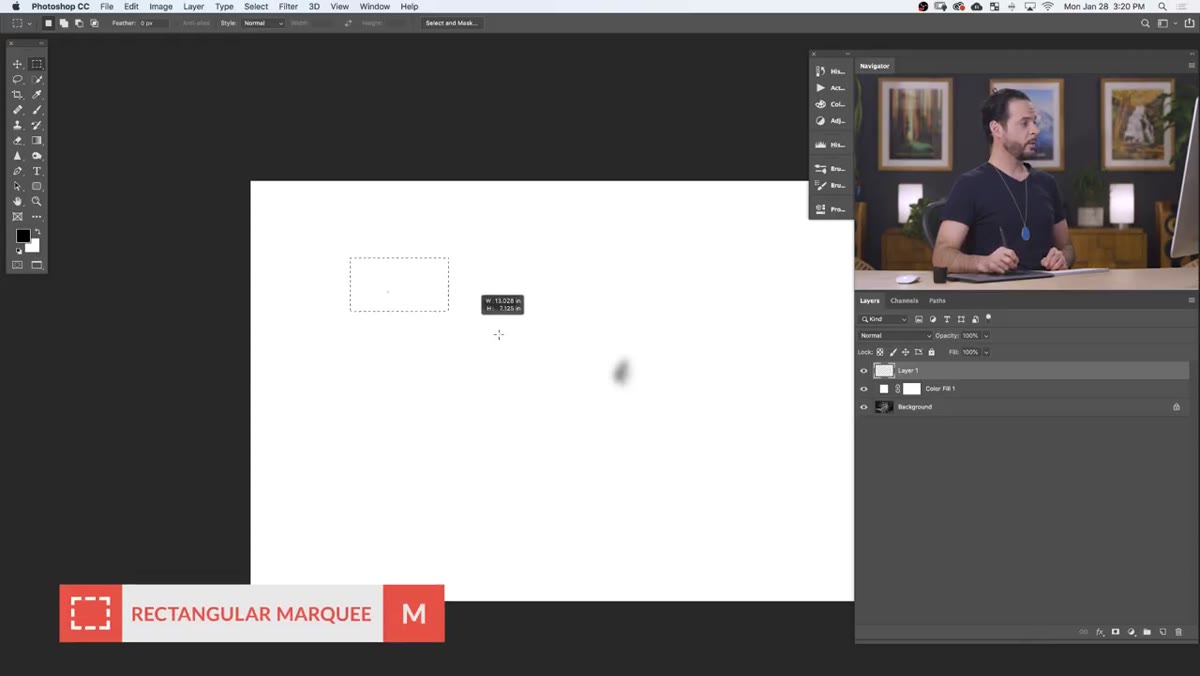 Using Edit > Define Brush Preset with the snow template name