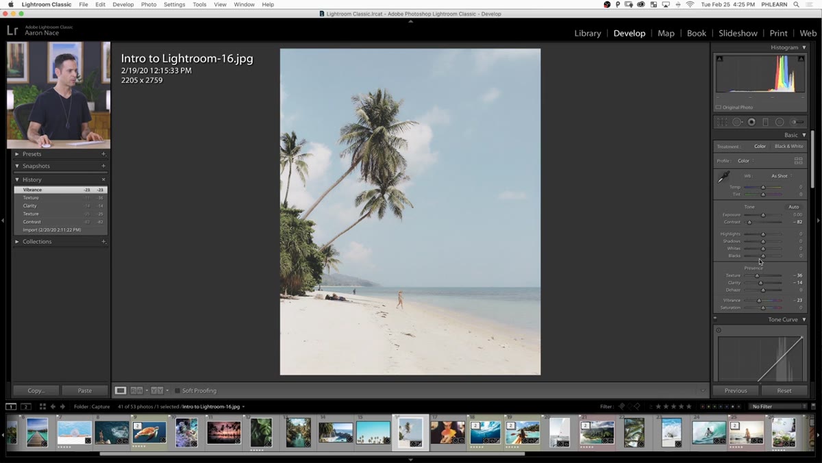 Vibrance, Shadows, and Highlights sliders in the Basic panel