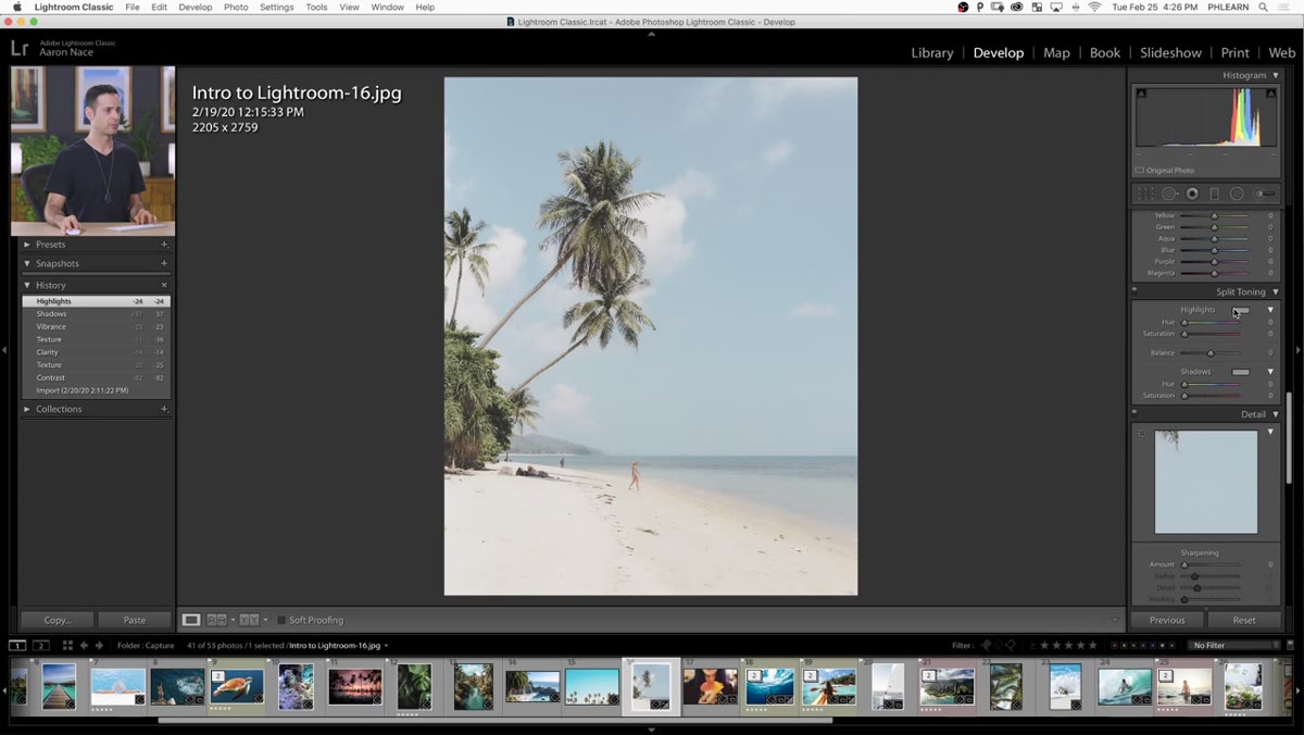 Split Toning panel with Highlight and Shadow hue/saturation controls
