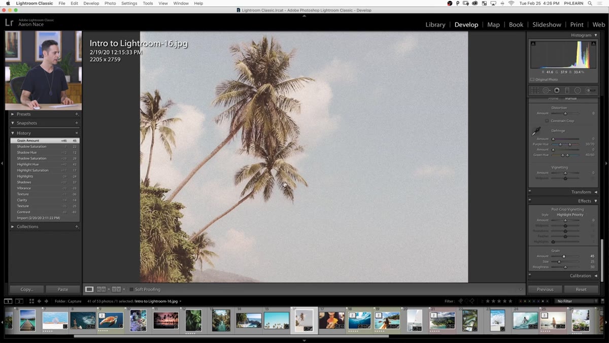 Effects panel with Grain Amount, Size, and Roughness sliders