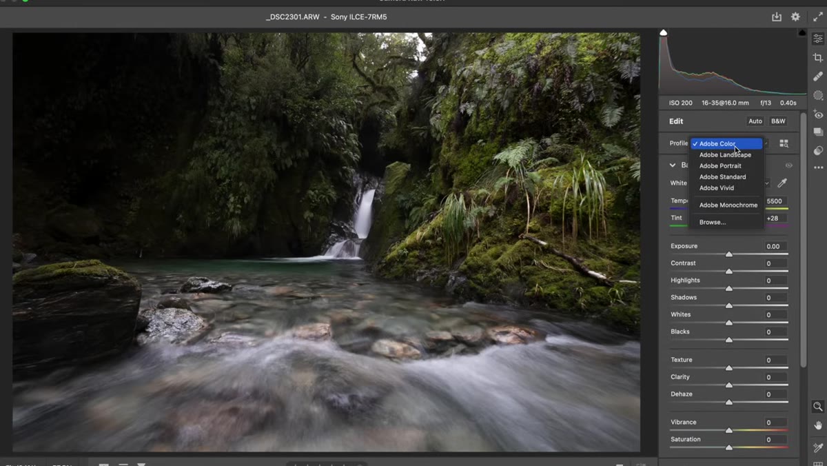 Landscape camera profile selected in ACR profile browser