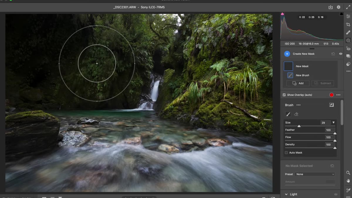Adjustment brush settings showing high feather, flow and density at 100