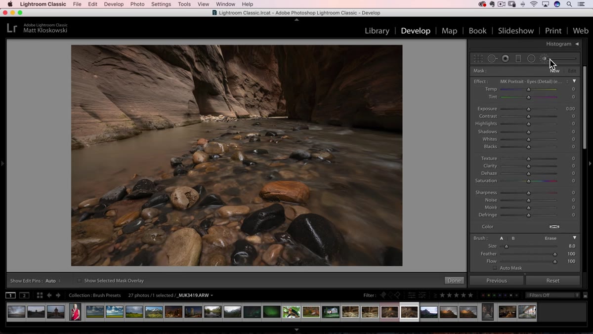 Brush tool selected in Develop module, Exposure slider cranked up