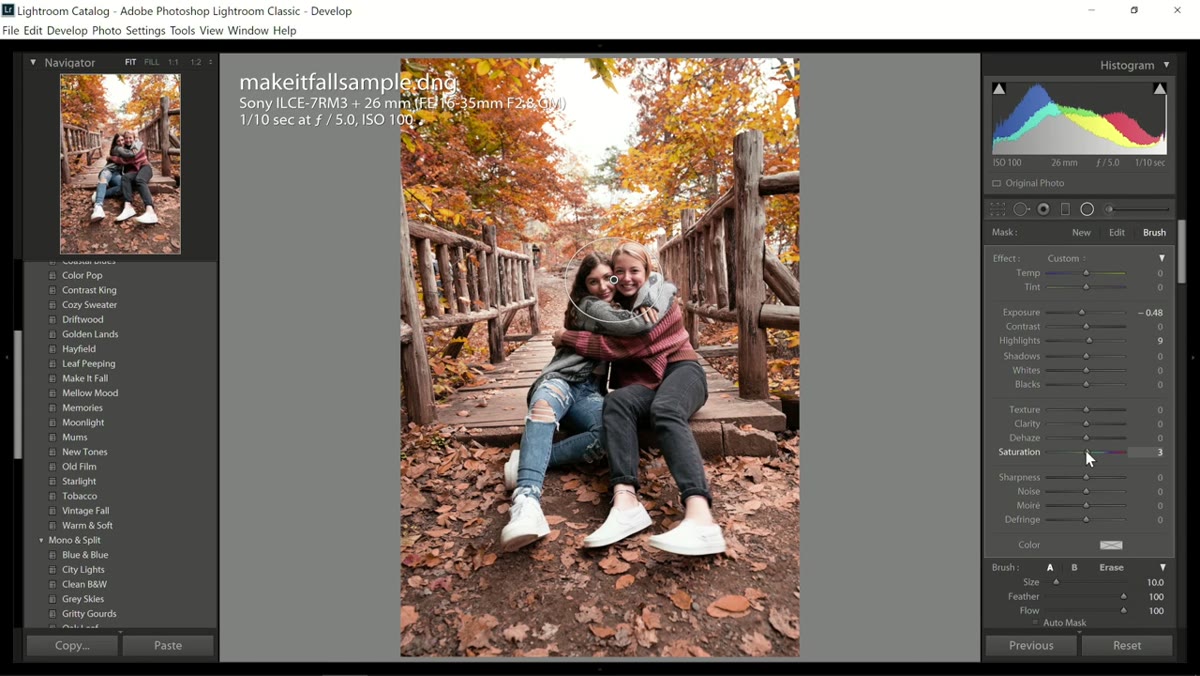 Saturation slider and crop tool applied
