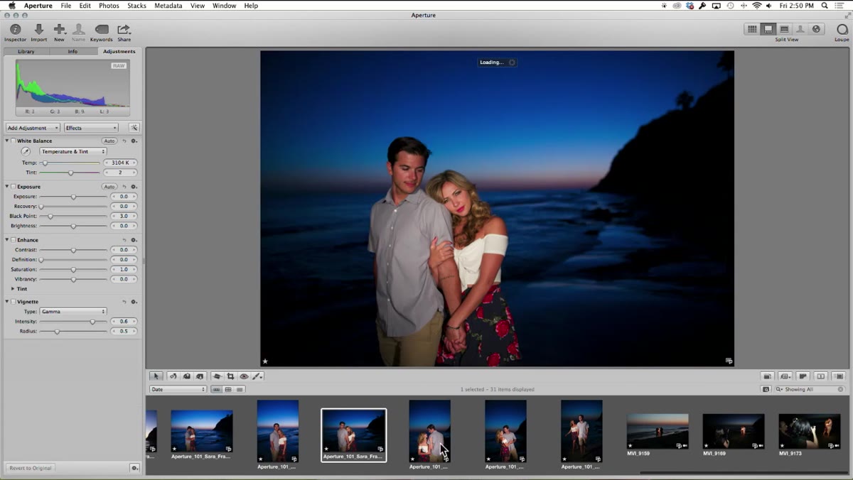 Adjustments panel open on a video light portrait shot