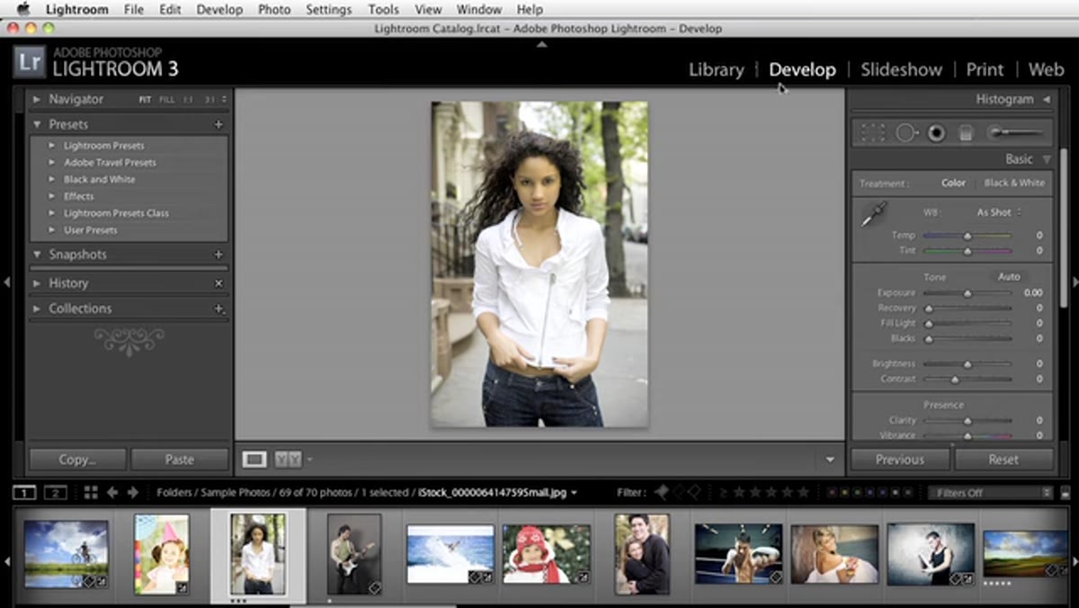 Lightroom Develop module with Presets panel visible on left