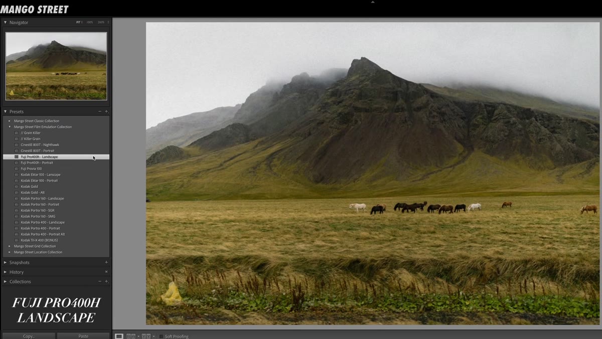 Fuji 400H landscape preset applied to an outdoor scene