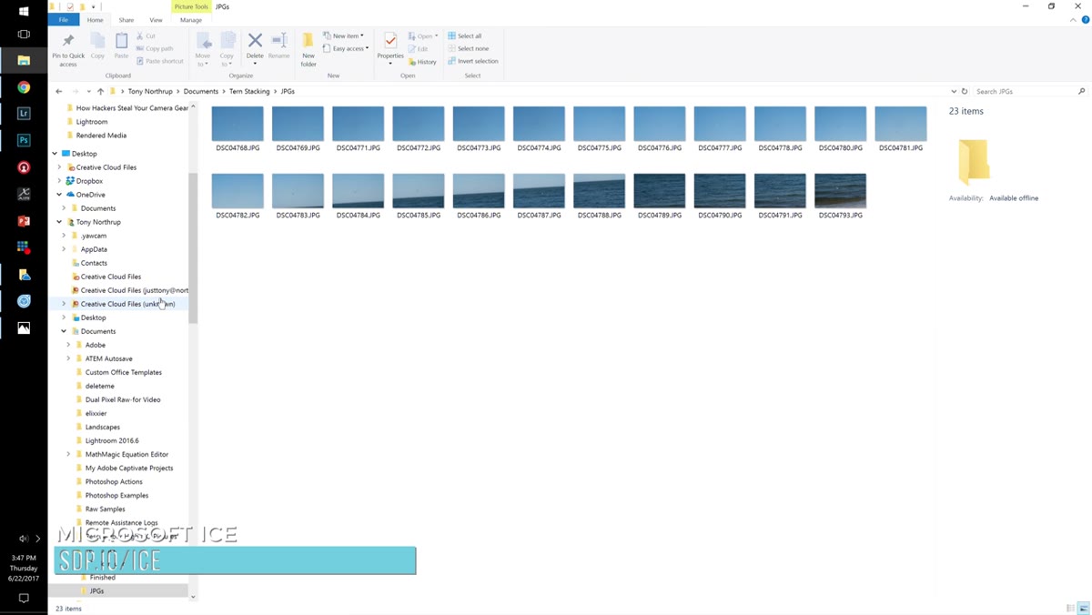 Microsoft ICE interface with multiple bird photos loaded
