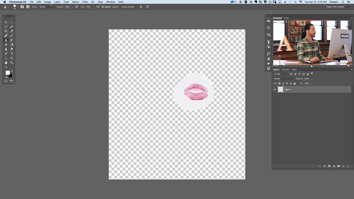 Desaturated kiss layer with Levels dialog open, dark midpoint slider moved left