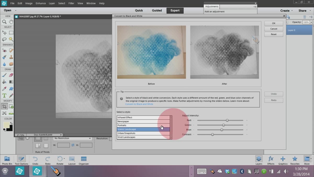 Convert to Black and White dialog with Vivid Landscape preset selected