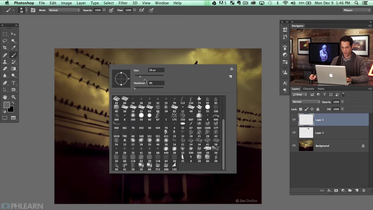 Brush tool active on scene with multiple bird stamps appearing across canvas