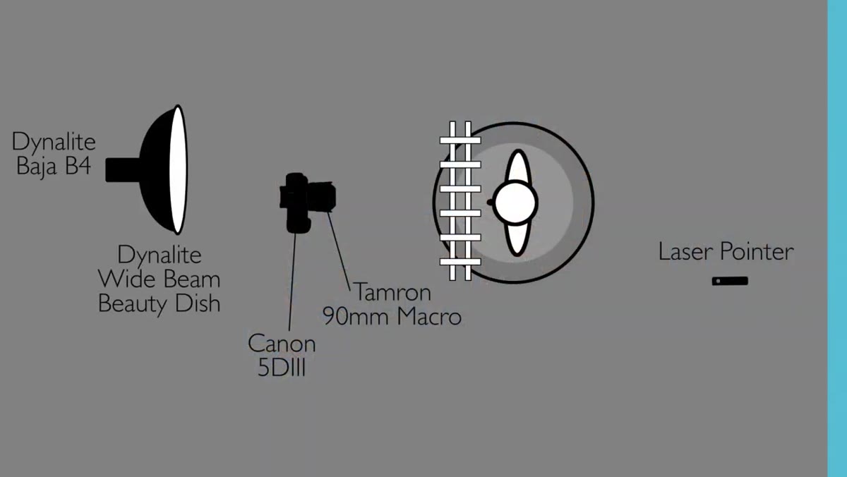 Beauty dish positioned as key light with flag underneath