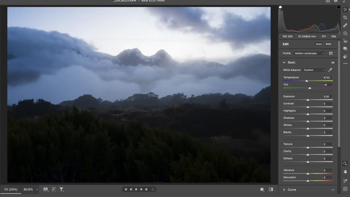 Exposure slider increased, histogram showing midtones lifting