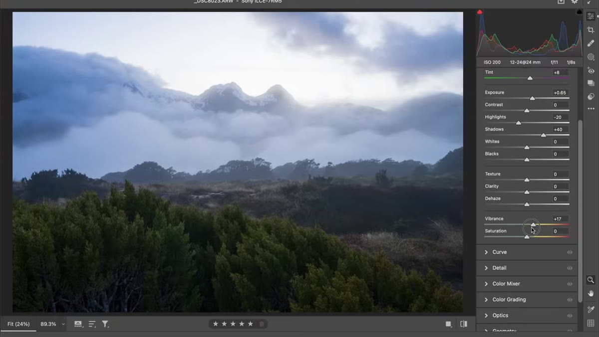 Vibrance slider raised, Saturation slider left at zero