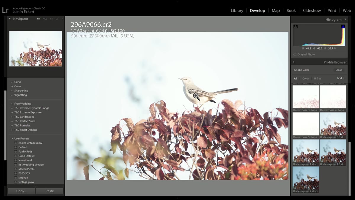 Profile browser showing ETTR exposure correction thumbnails