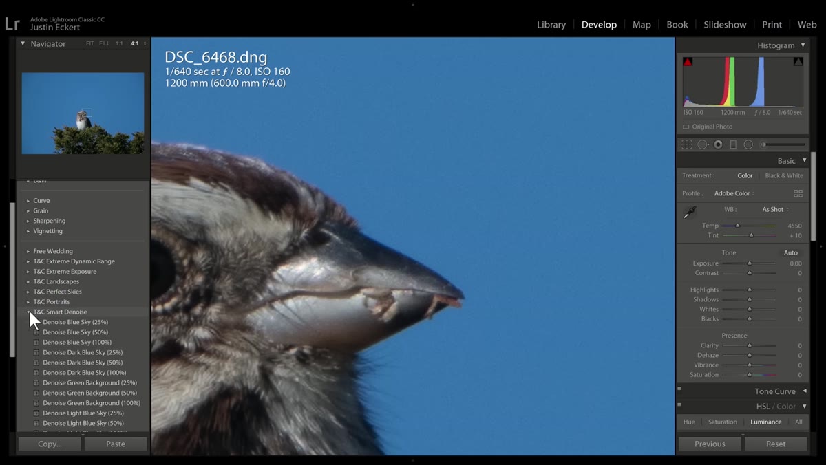 Wildlife photo showing noisy background before and after denoise preset
