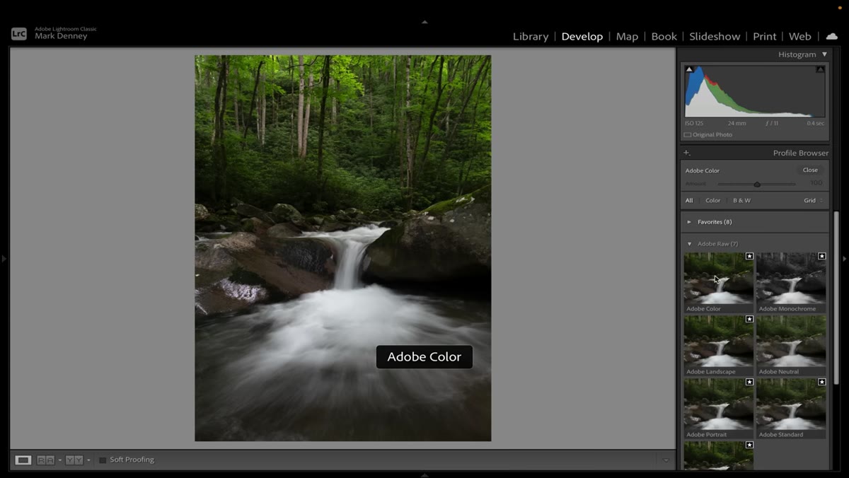 Adobe RAW profile options listed: Color, Landscape, Neutral, Portrait, Standard