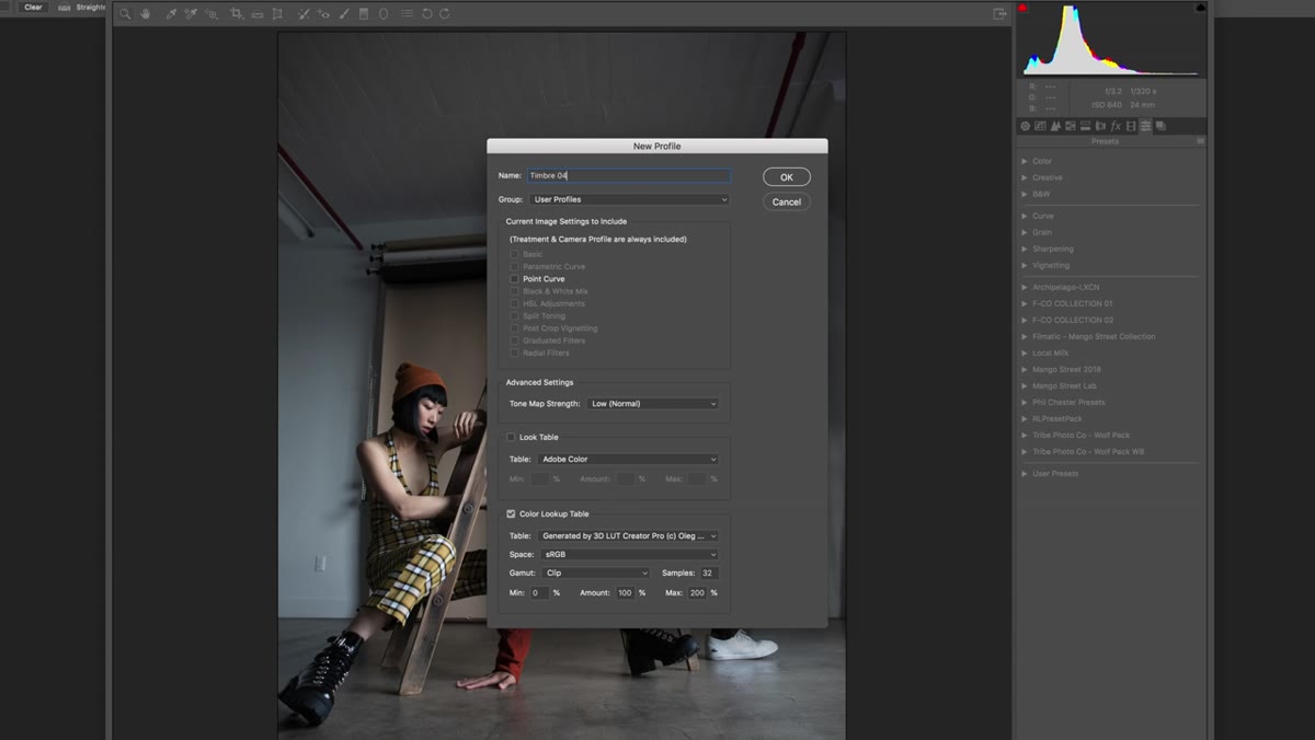 Naming the new LUT profile in the save dialog