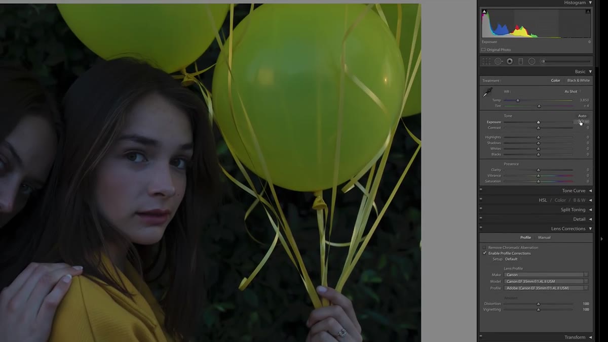 Applying lens profile correction in Lightroom develop panel