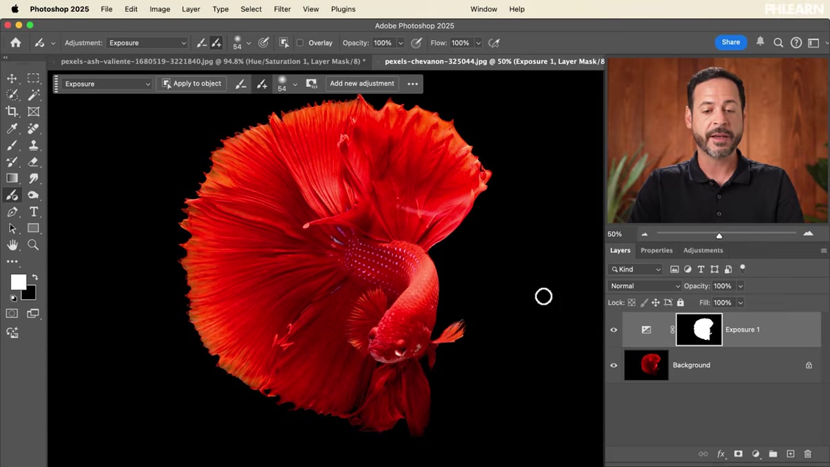 Adding a second adjustment layer with hue/saturation on the same fish