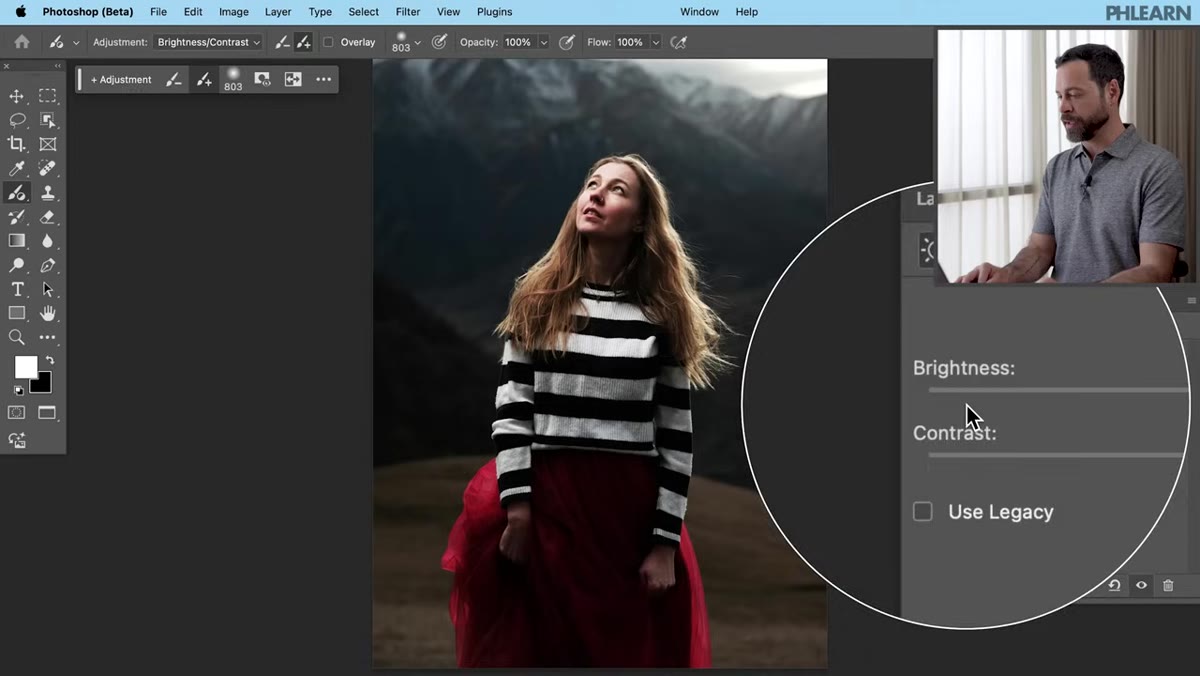 Properties panel open showing Brightness and Contrast sliders for the adjustment layer