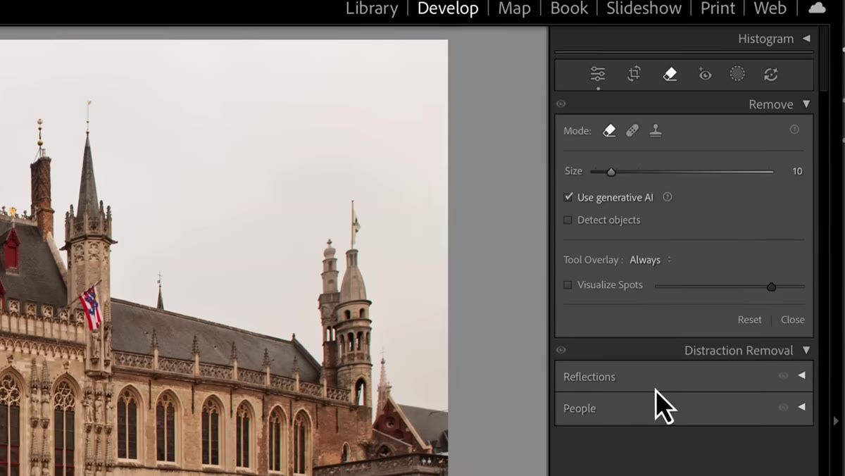 Remove tool panel showing Reflections and People options