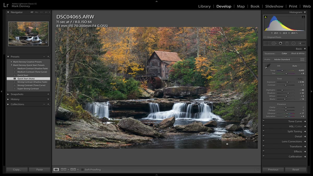 Basic panel showing automatic adjustments applied across white balance and tone sliders