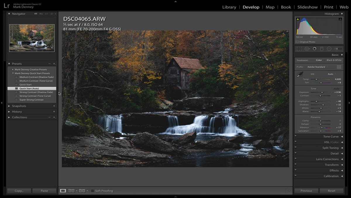 Before and after comparison showing raw file versus quick start preset applied