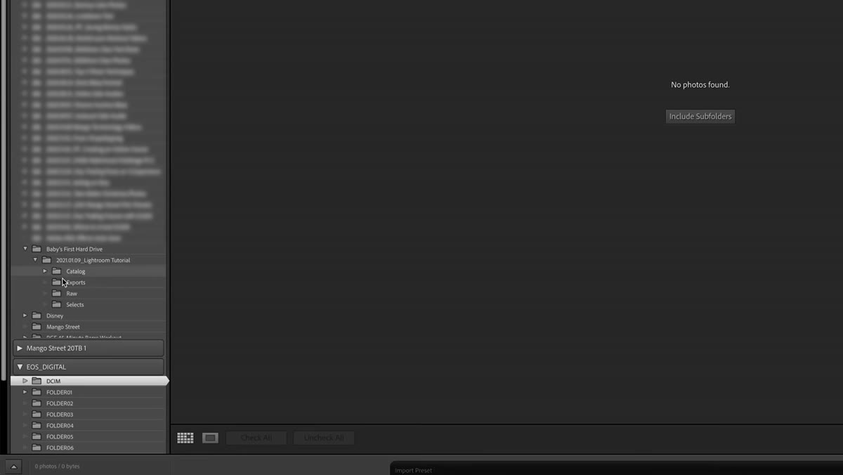 Lightroom import dialog open with preview options visible in the top right panel
