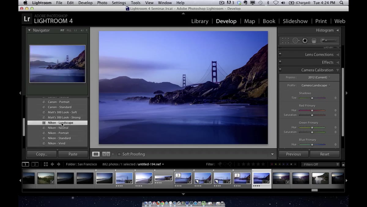 Preset panel showing a profile-based preset being clicked to change the camera profile