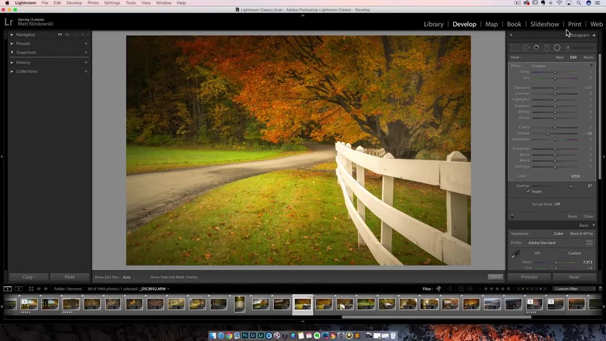 Lightroom Develop module showing brush, radial, and graduated filter icons
