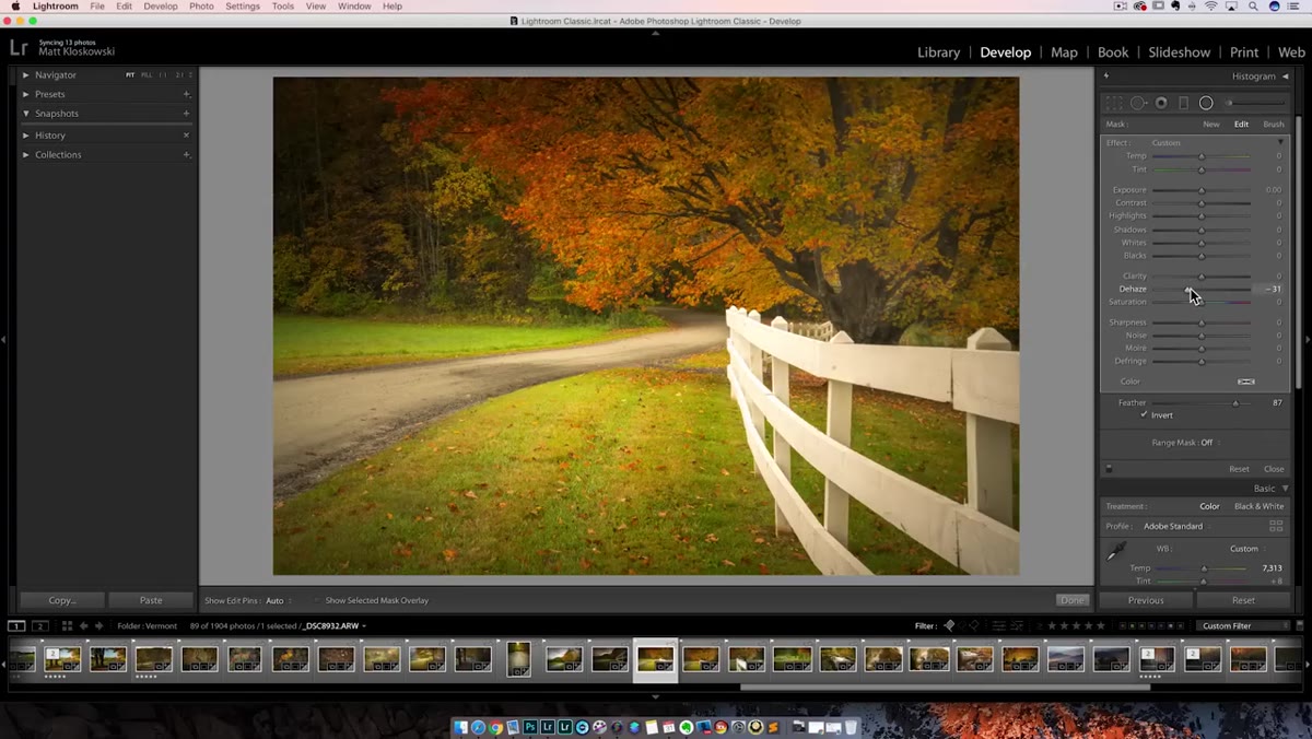 Radial filter applied to image with spotlight and dehaze effect visible