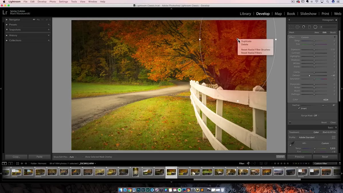 Right-click context menu on adjustment pin showing Duplicate option