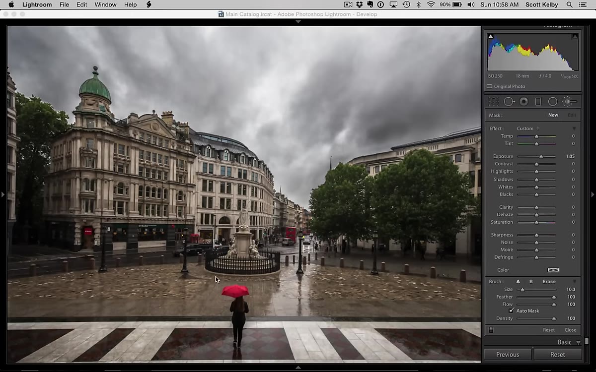 Painting over an image region with the Adjustment Brush active
