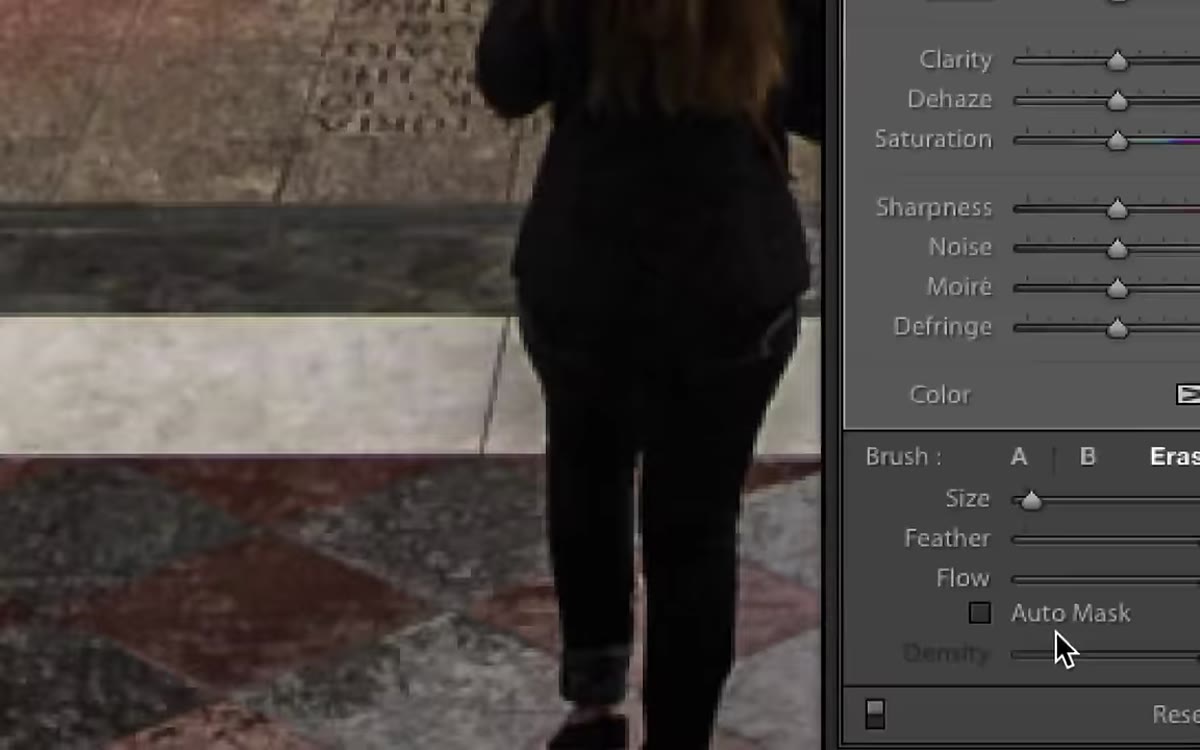 Auto Mask checkbox highlighted in the Adjustment Brush panel