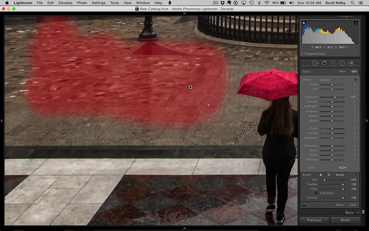 Auto Mask re-enabled while painting near a subject&rsquo;s clean edge
