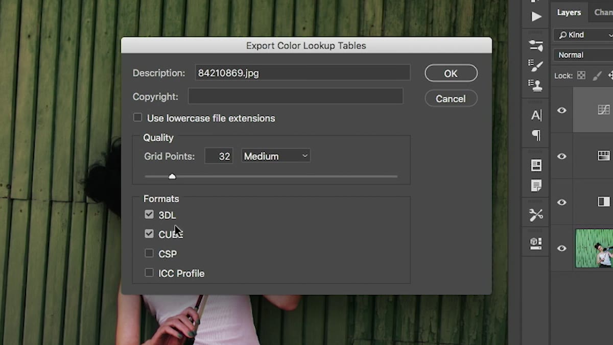 Save dialog for color lookup table export with file name field