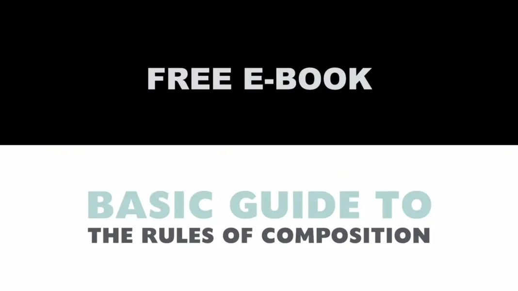 Composition Tips for Better Photos