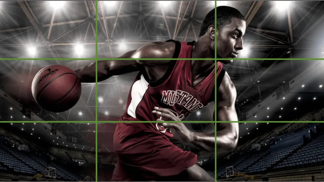 Composition Tips for Better Photos