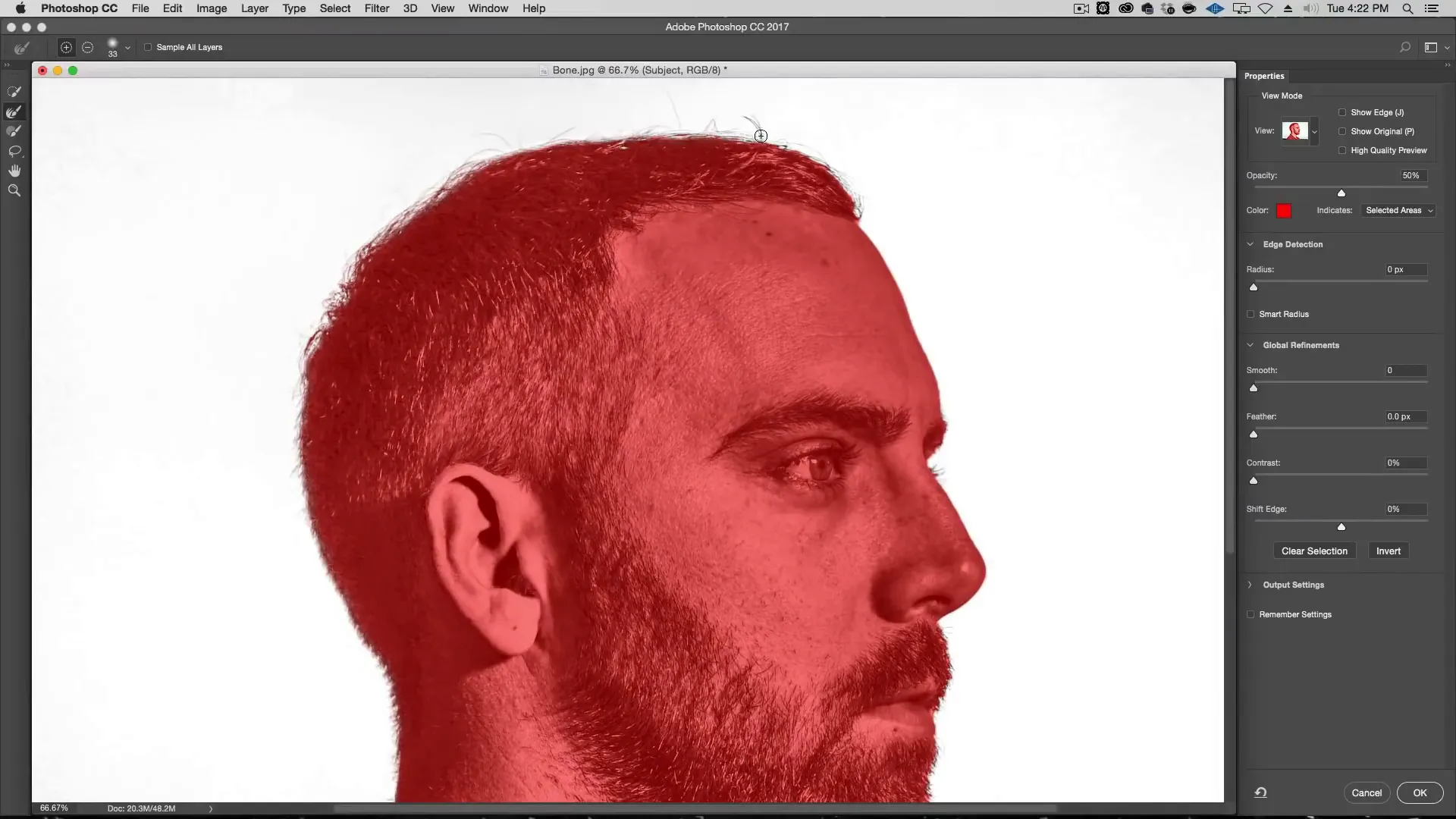 masking of portrait