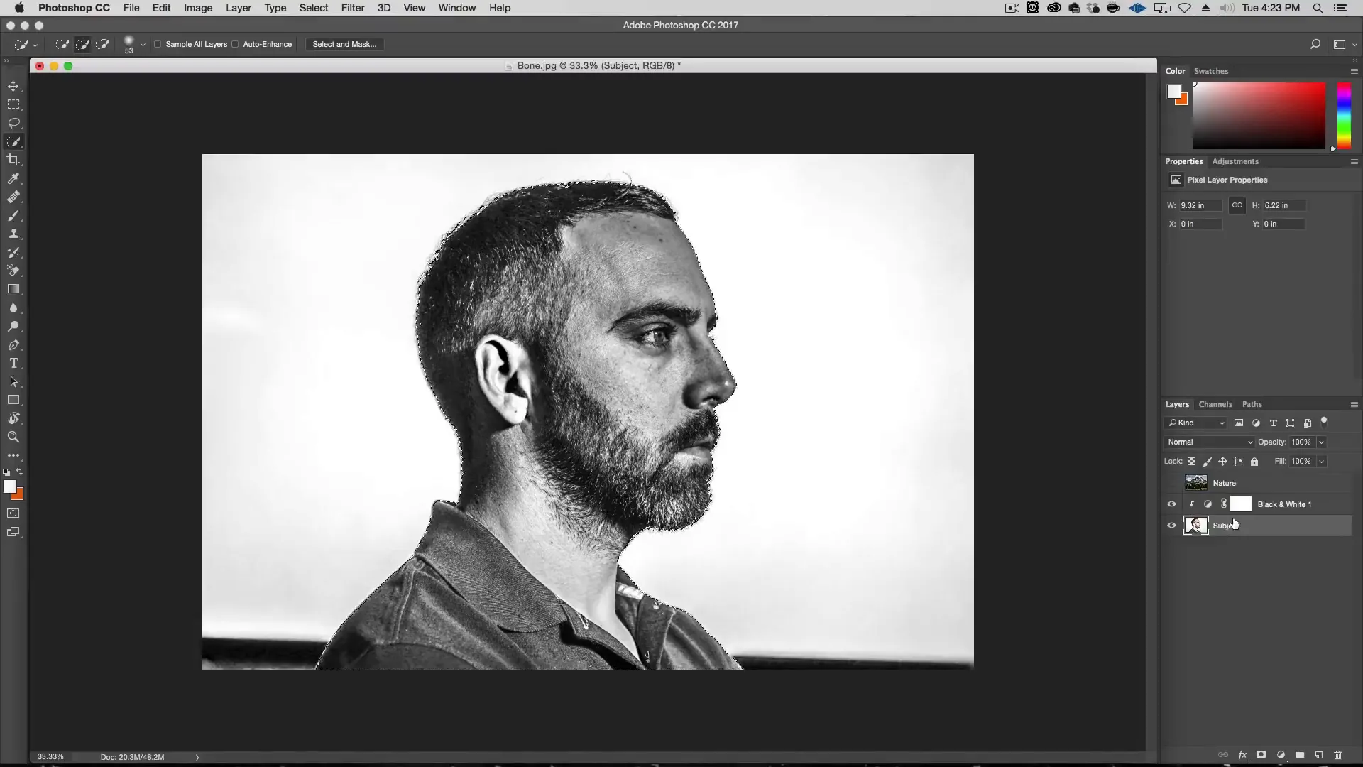 making portrait black and white